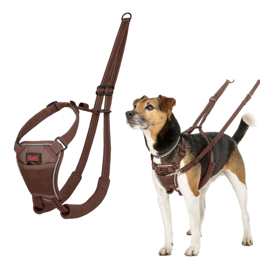 No Pull Dog Harness Deep Walnut