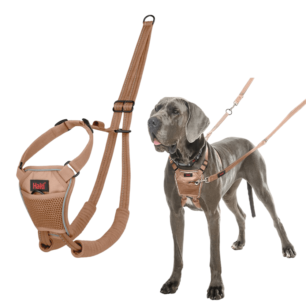 No Pull Dog Harness Desert Sand
