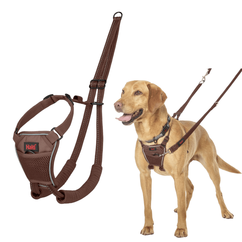 No Pull Dog Harness Deep Walnut