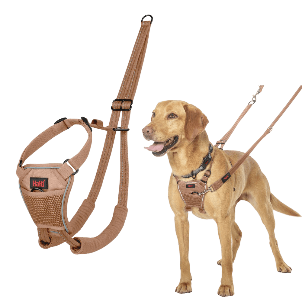 No Pull Dog Harness Desert Sand