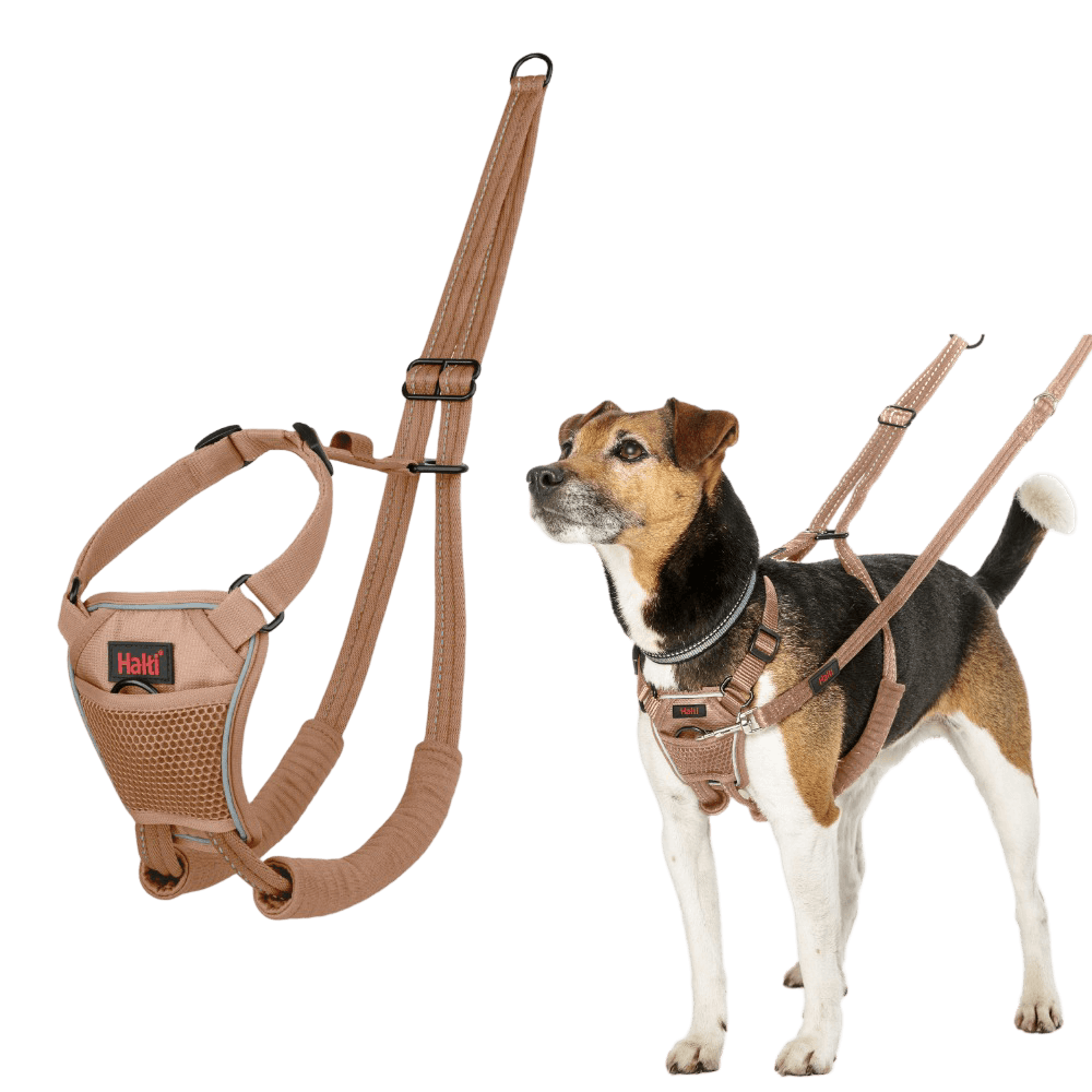 No Pull Dog Harness Desert Sand