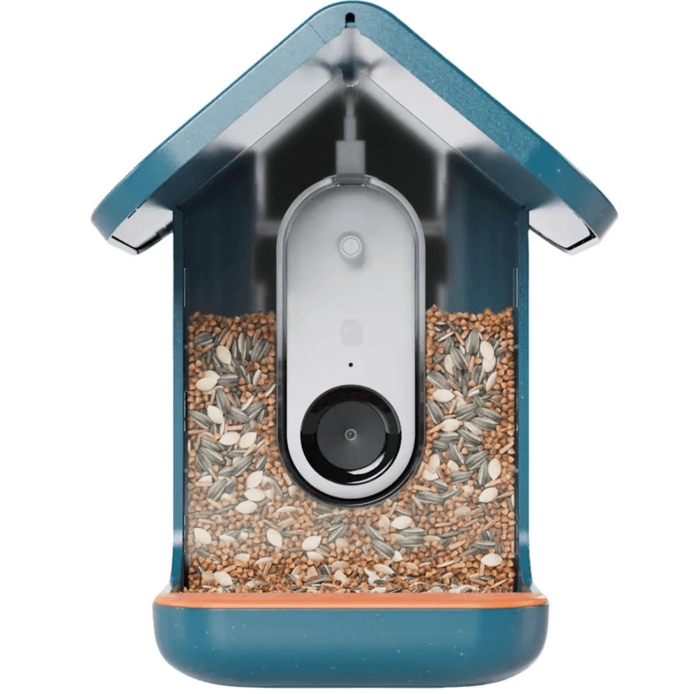 birdbuddy-smart-bird-feeder-solar-roof-blue