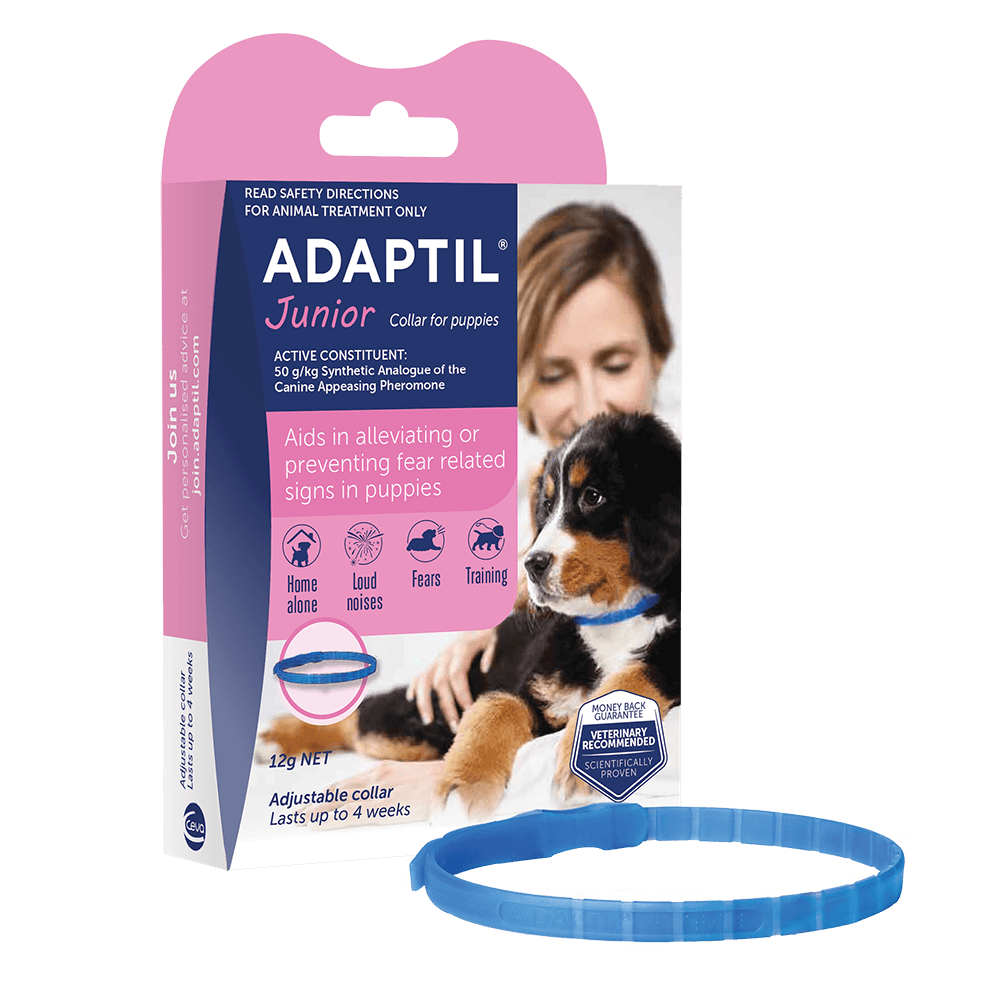 Junior Calming Collar
