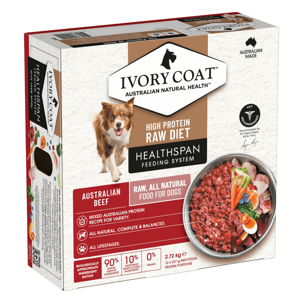 Healthspan Beef Patties Frozen Raw Adult Dog Food