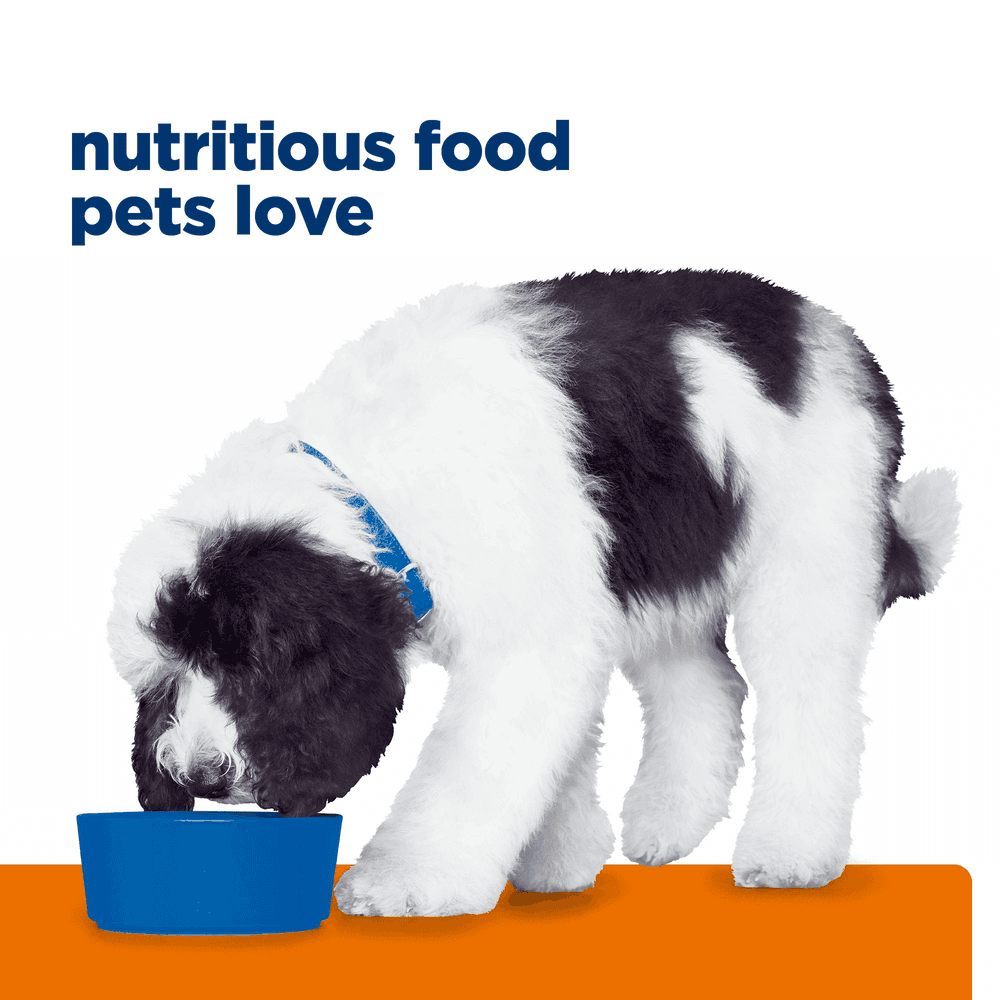 Hills Prescription Diet C/D Multicare Urinary Dry Dog Food