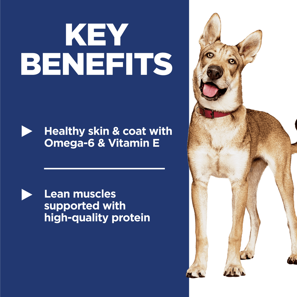 Hills Science Diet Chicken & Barley Recipe Adult Dry Dog Food