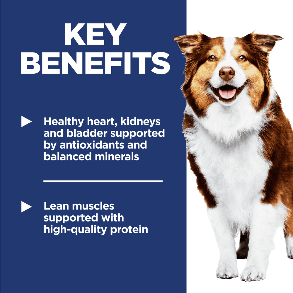 Hills Science Diet 7 Plus Chicken Barley & Rice Senior Dry Dog Food