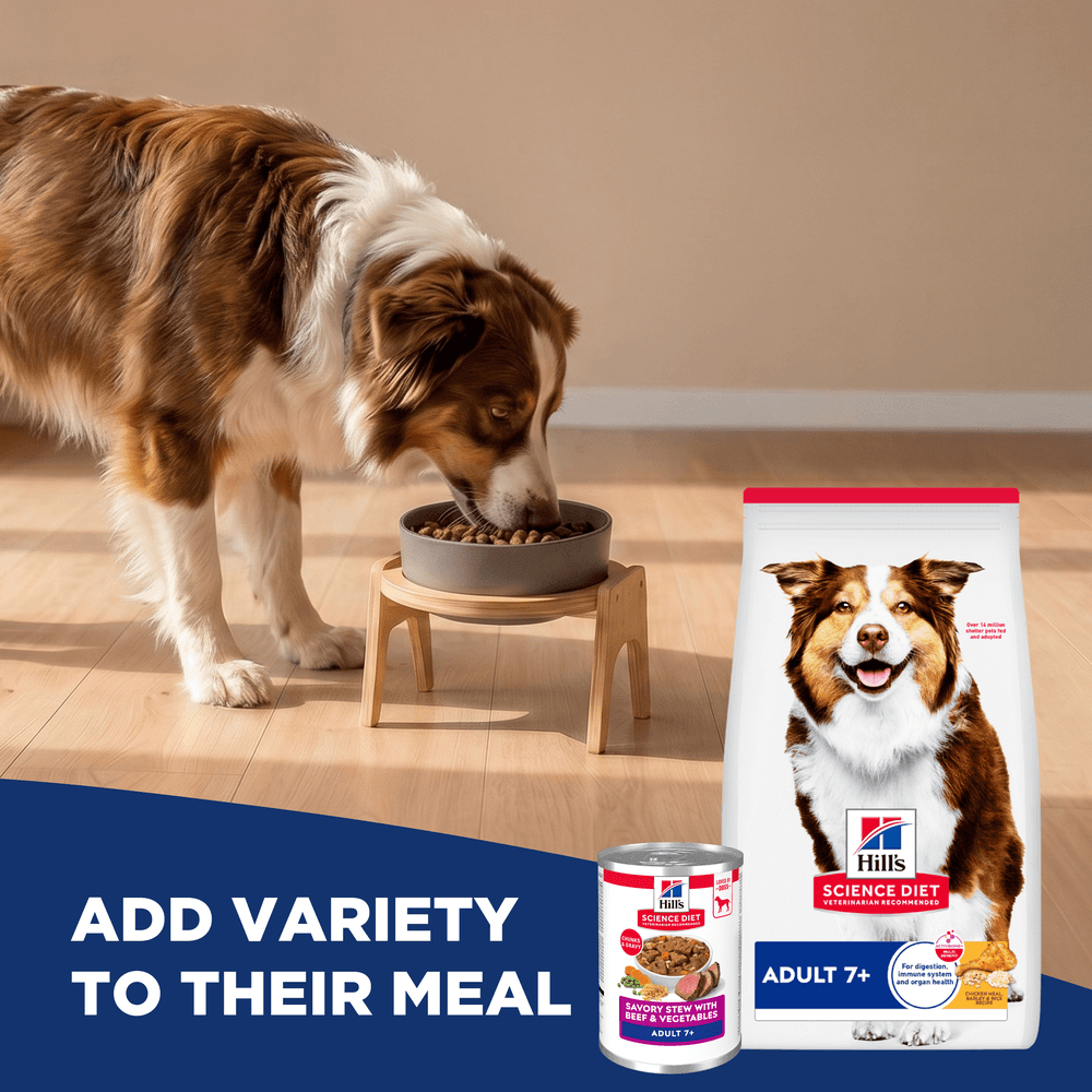 Hills Science Diet 7 Plus Chicken Barley & Rice Senior Dry Dog Food