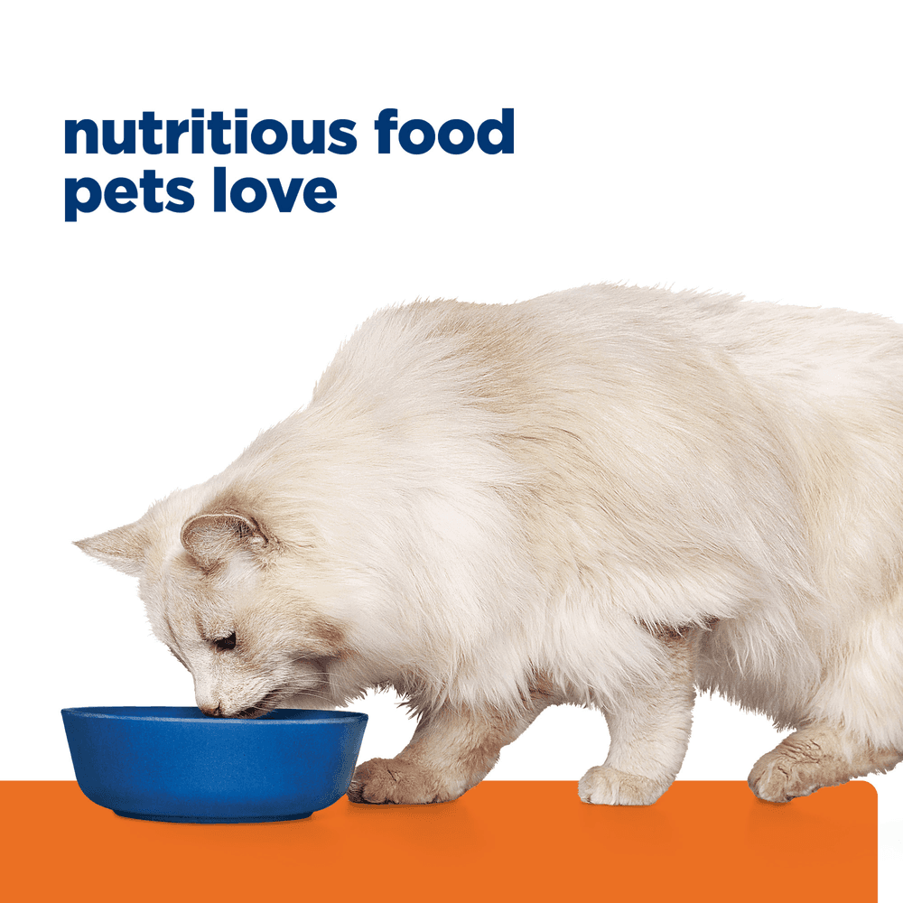 Hills Prescription Diet C/D Multicare Stress Urinary Care Dry Cat Food