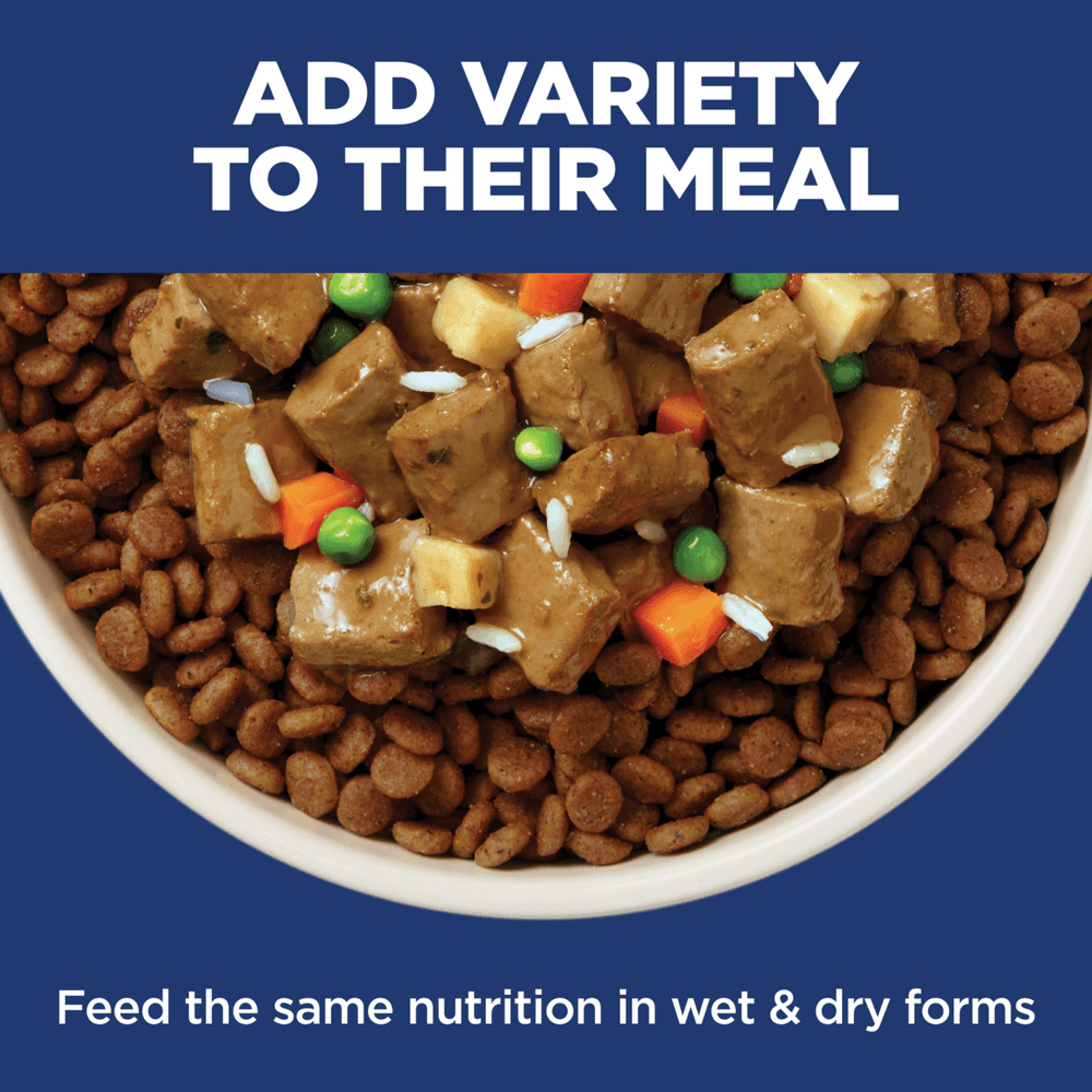 Hills Science Diet Perfect Digestion Chicken Barley & Oats Adult Dry Dog Food