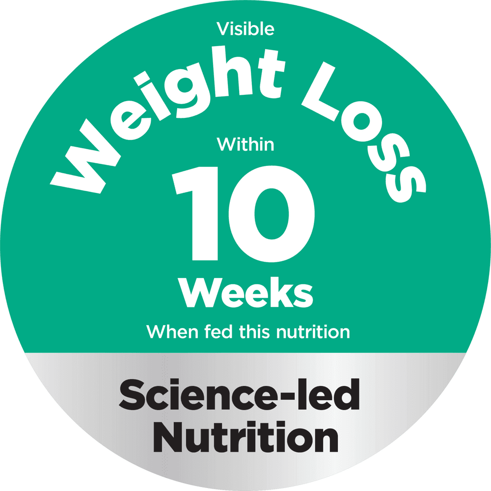 Hills Science Diet Perfect Weight Joint Support Chicken Adult Dry Dog Food