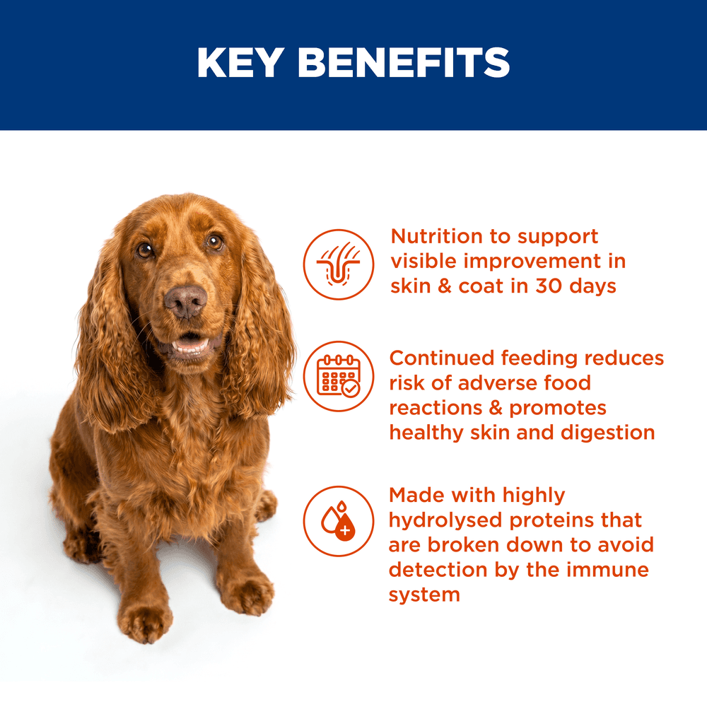 Hills Prescription Diet Z/D Skin & Food Sensitivities Adult Wet Dog Food Cans
