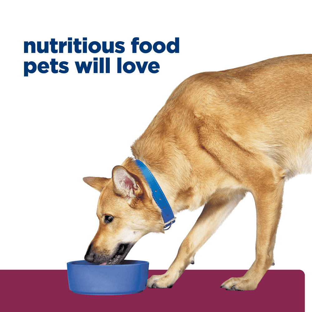 Hills Prescription Diet I/D Digestive Care Chicken Dry Dog Food