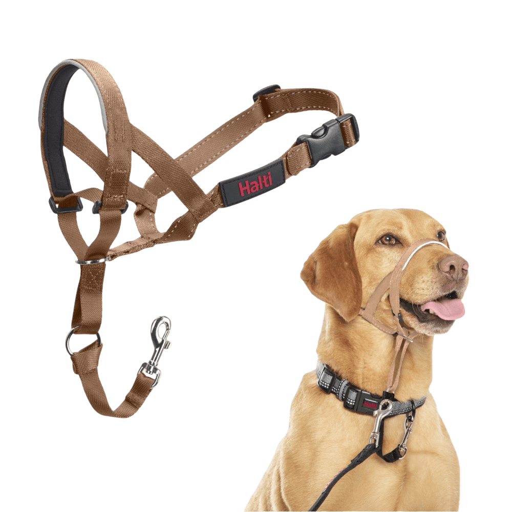 Headcollar Dog Desert Sand