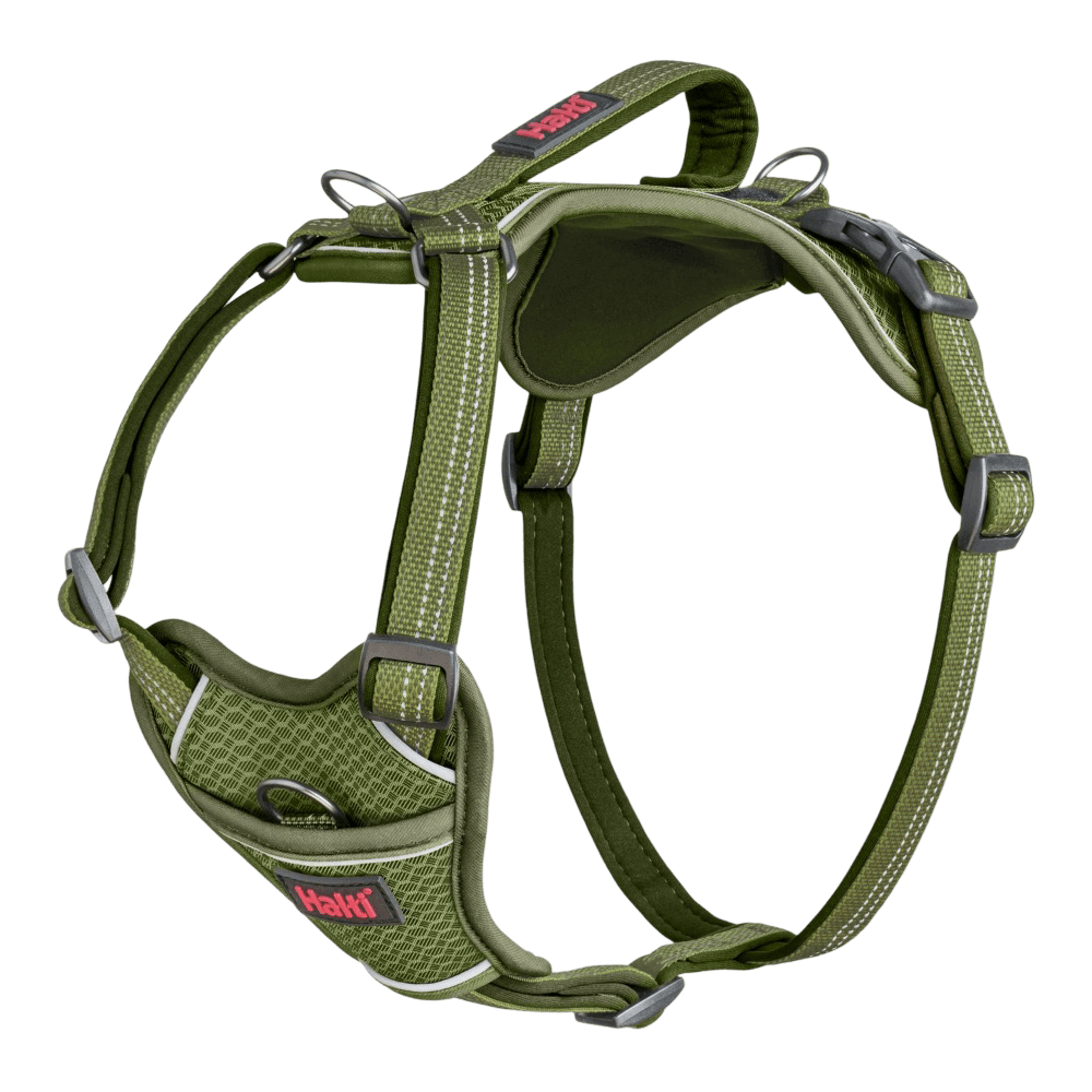 Anatomy Dog Harness Green