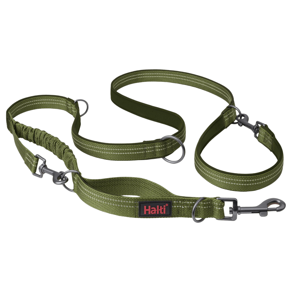 Anatomy Multi Dog Lead Green
