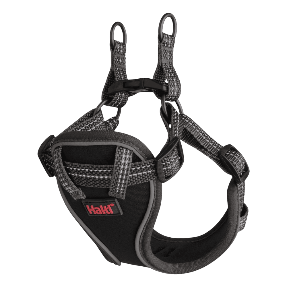 Anatomy Puppy Harness Grey