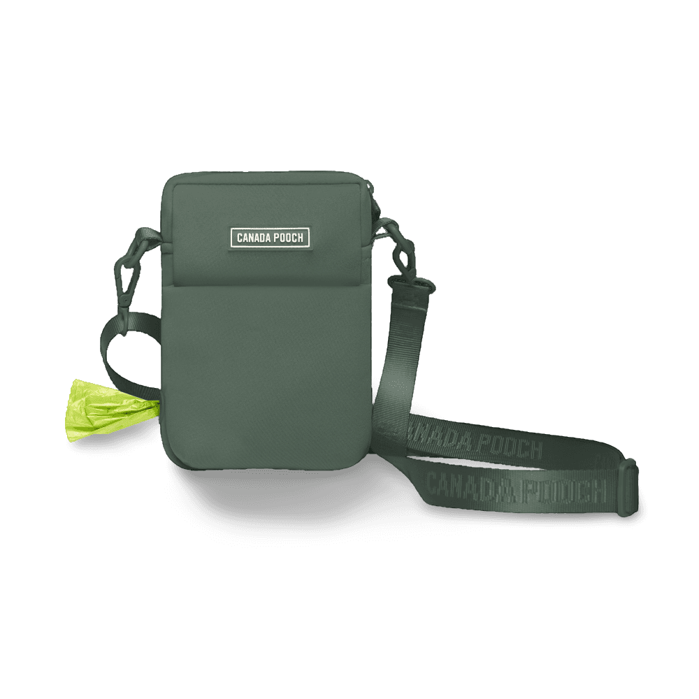 canada-pooch-everything-dog-walking-bag-forest-green