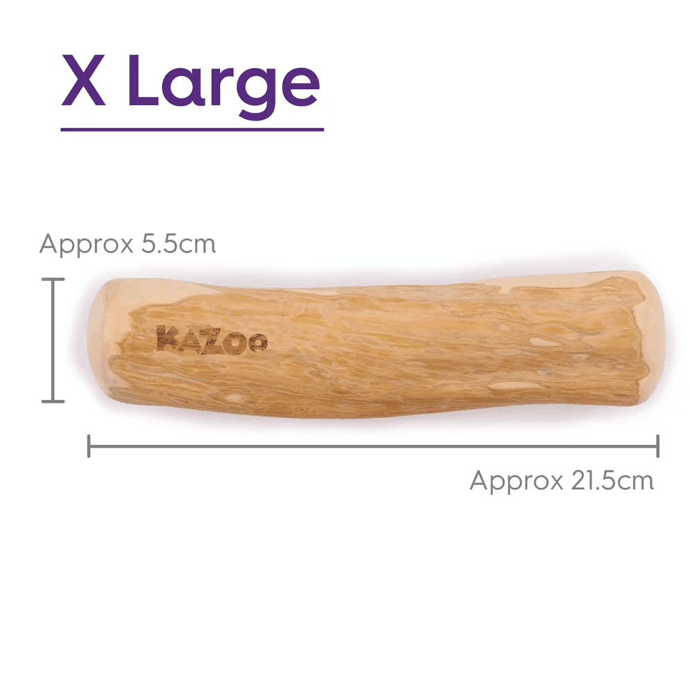 Kazoo Kazoo Coffee Wood Stick Dental Dog Chew Toy