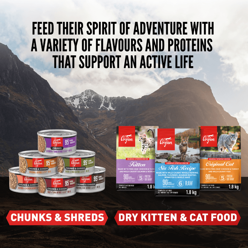 Orijen Chunks & Shreds Regional Red Adult Wet Cat Food Cans