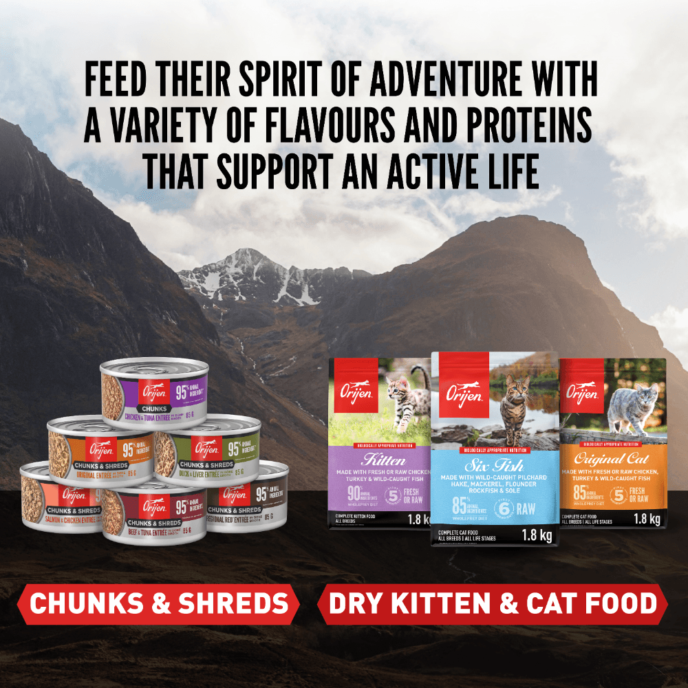 Orijen Chunks And Shreds Kitten Chicken And Tuna Wet Cat Food