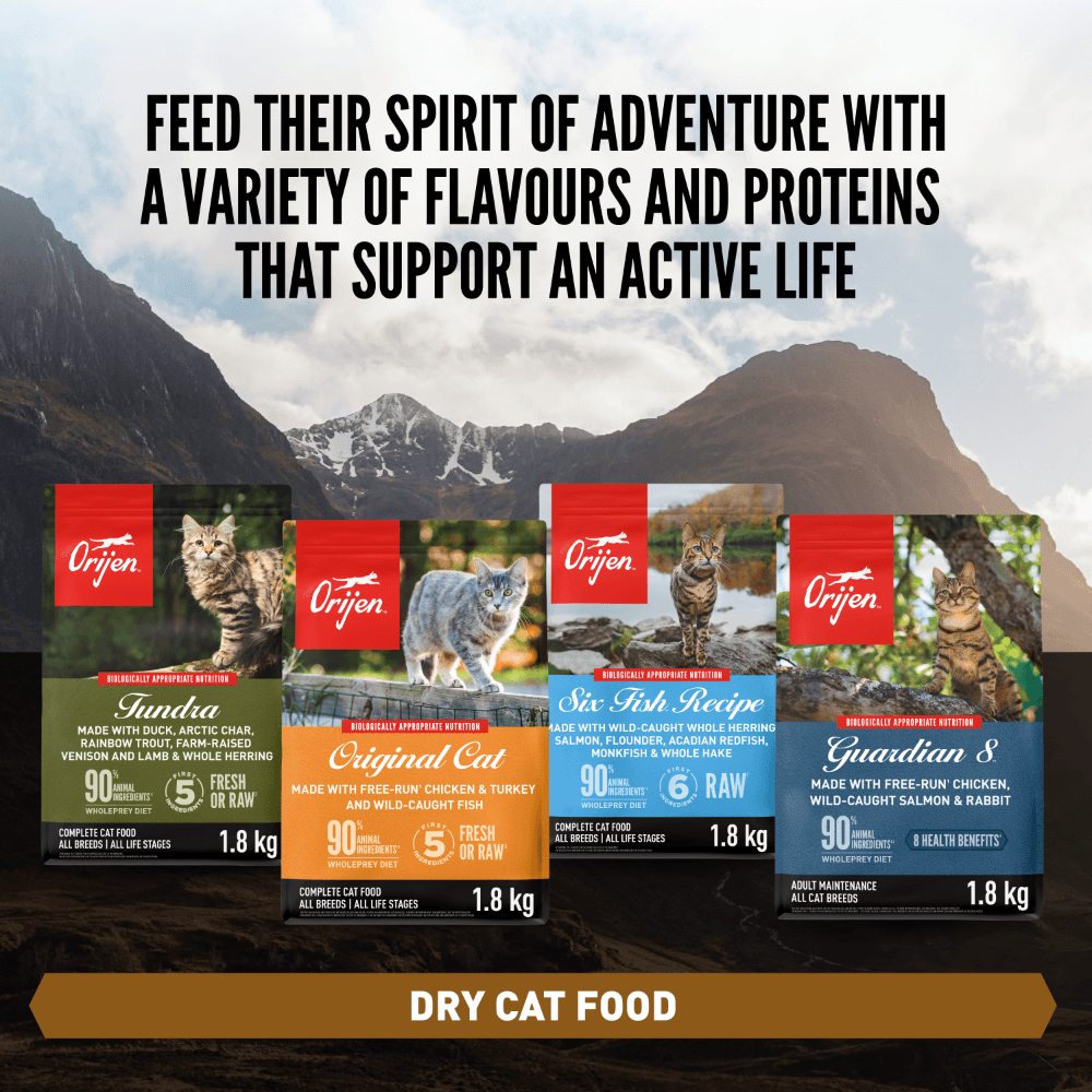 Orijen Original All Lifestages Dry Cat Food