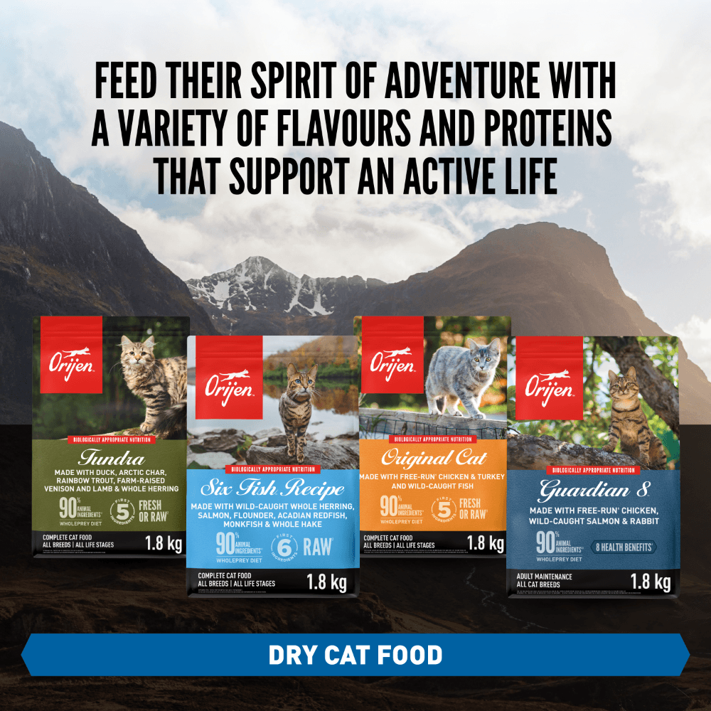 Orijen Six Fish All Lifestages Dry Cat Food