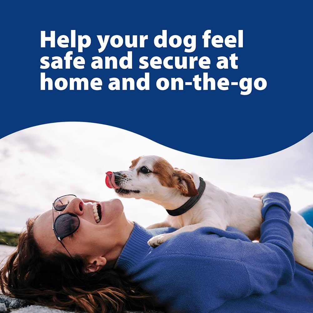 Adaptil Calming Collar