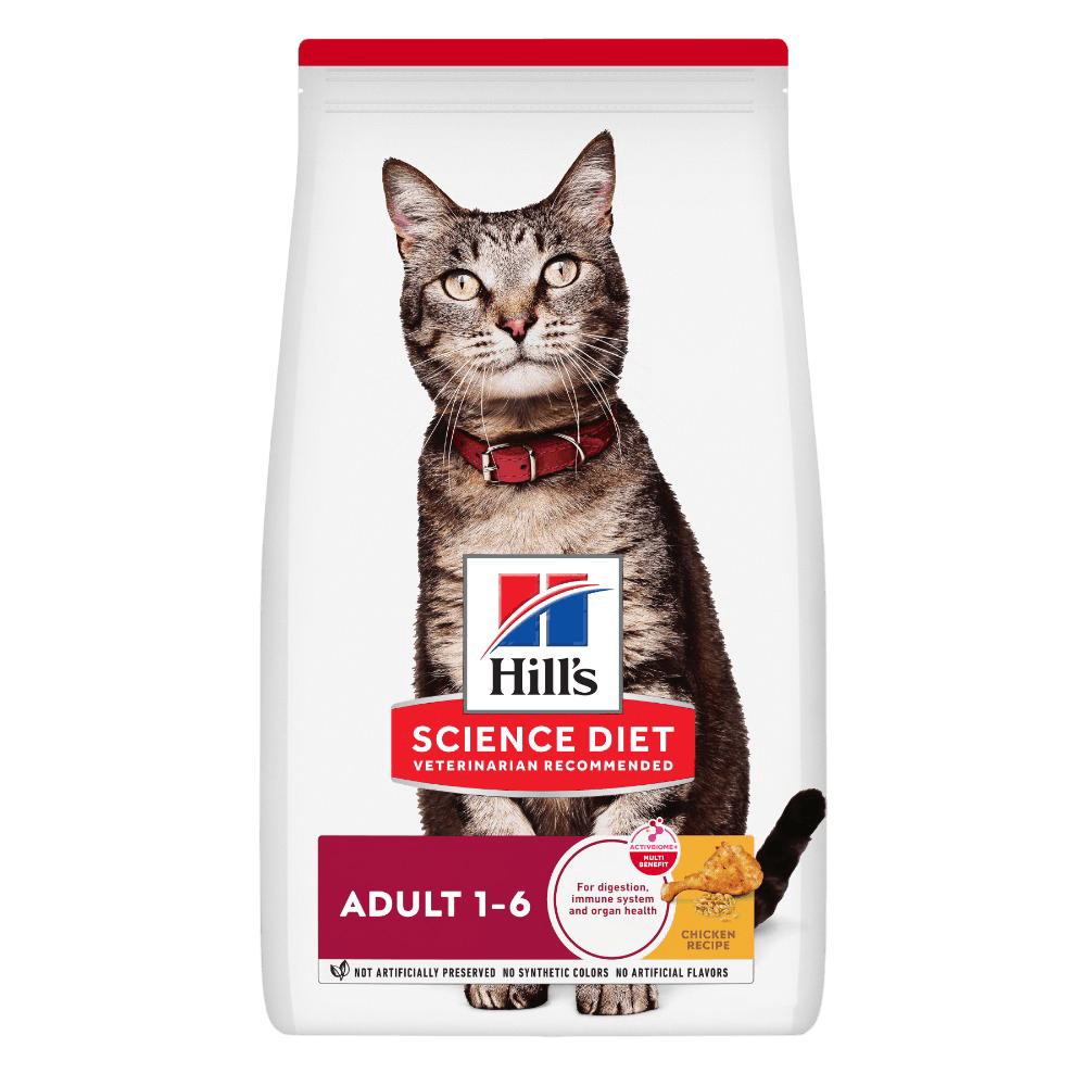 Chicken Recipe Adult Cat Dry Food