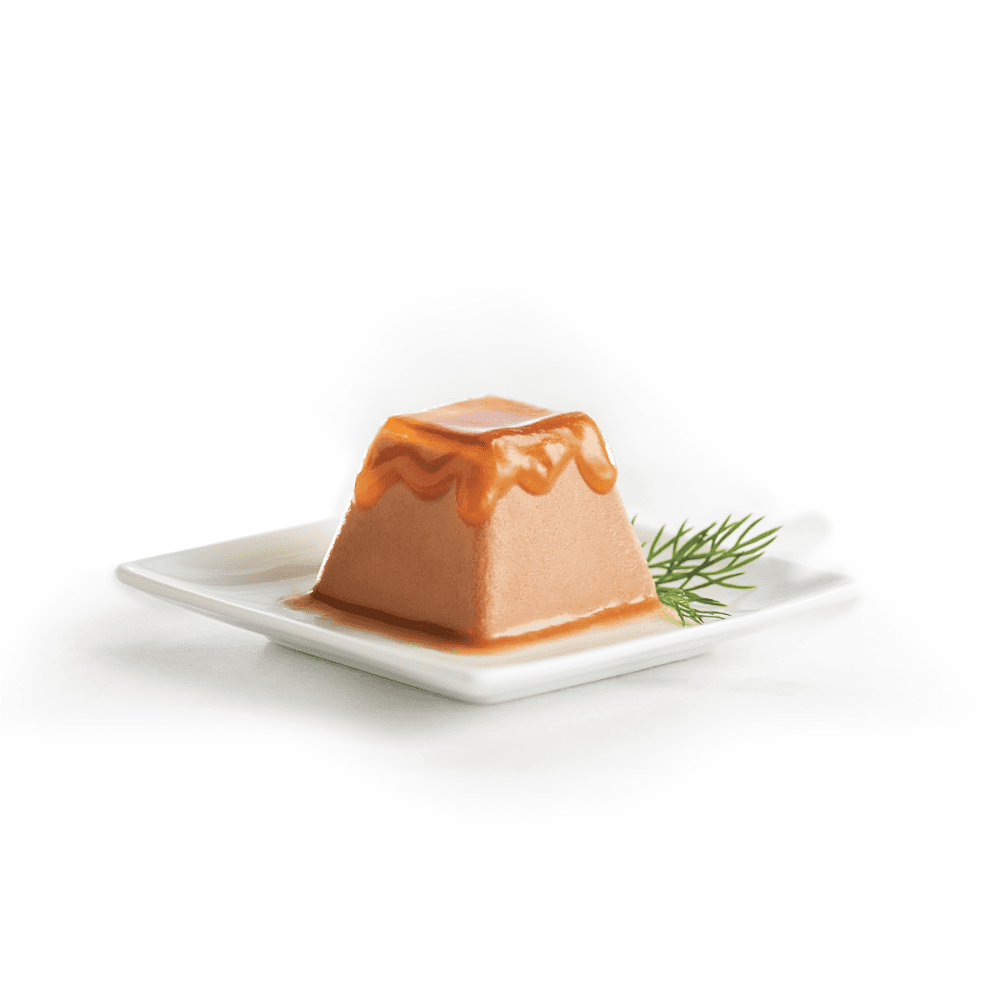 Fancy Feast Gems Mousse Pate with Chicken Wet Cat Food