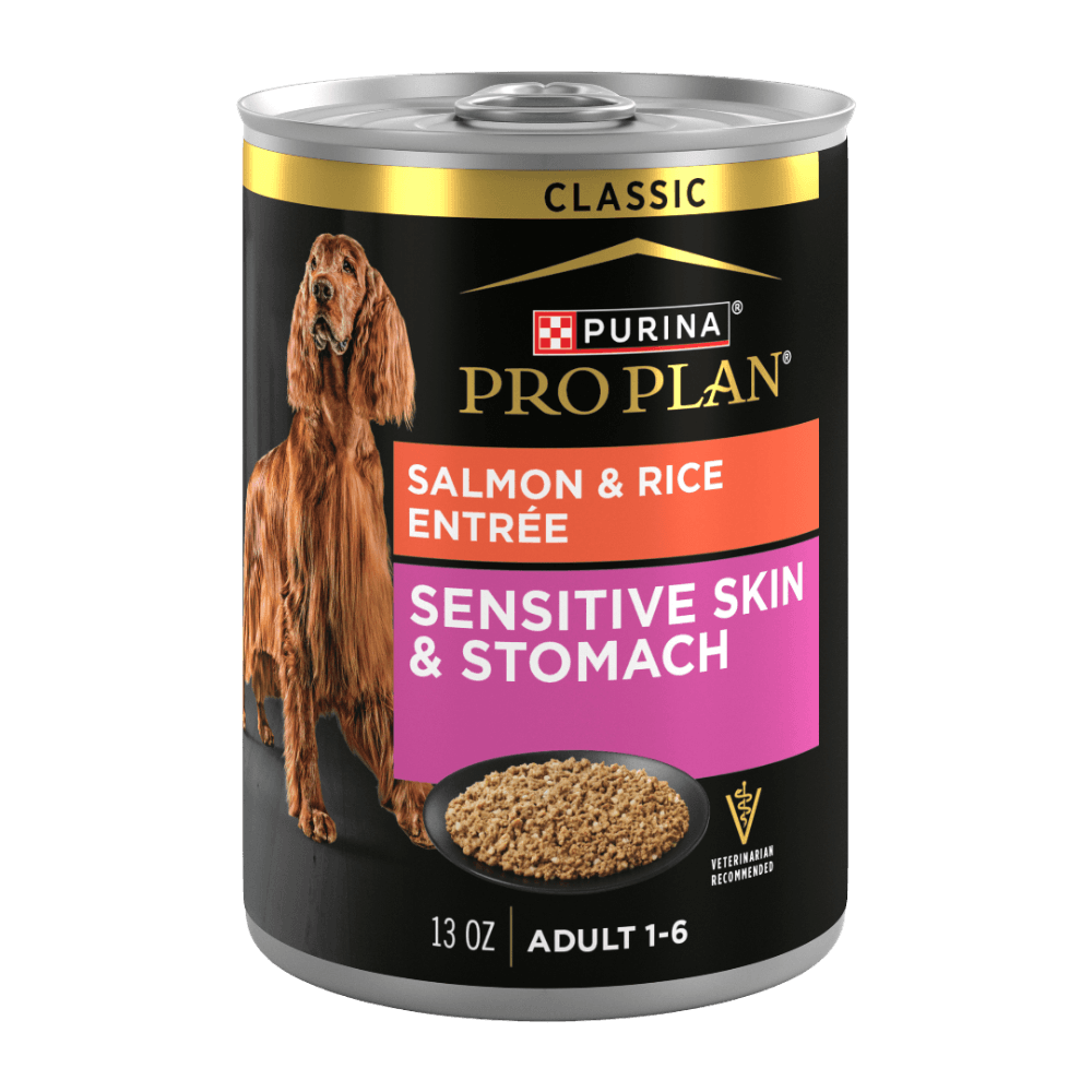 Adult Sensitive Skin and Stomach Salmon and Rice Entree Wet Dog Food