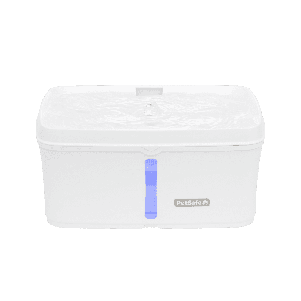 petsafe-viva-fountain-for-cats-and-dogs-bubble