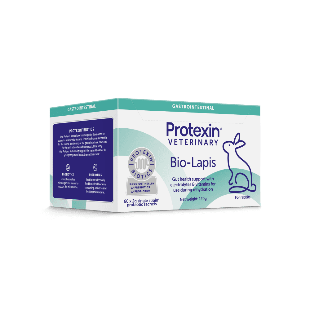 Bio-Lapis-60x2g-Sachets-RIGHT FACING