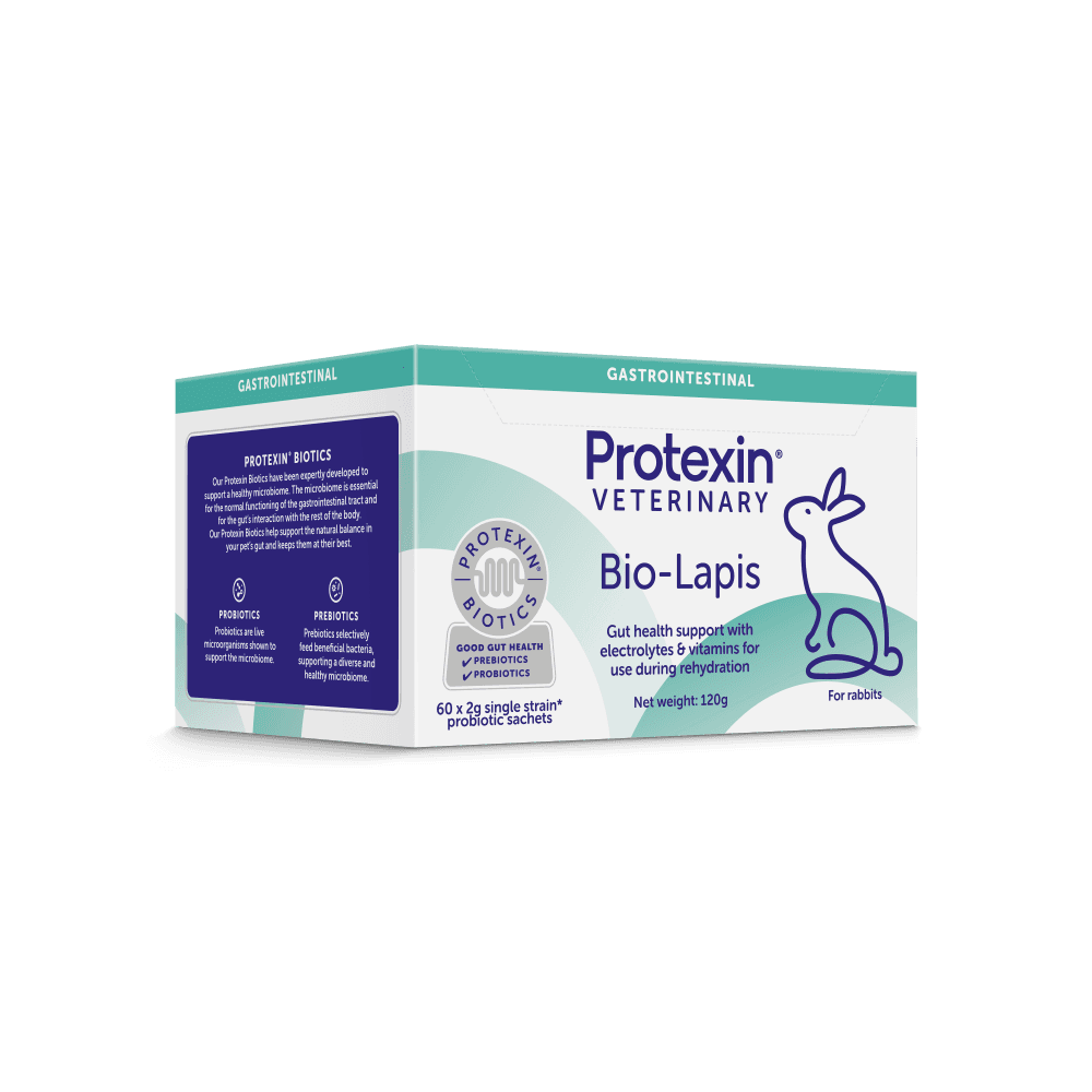 Bio-Lapis-60x2g-Sachets-RIGHT FACING