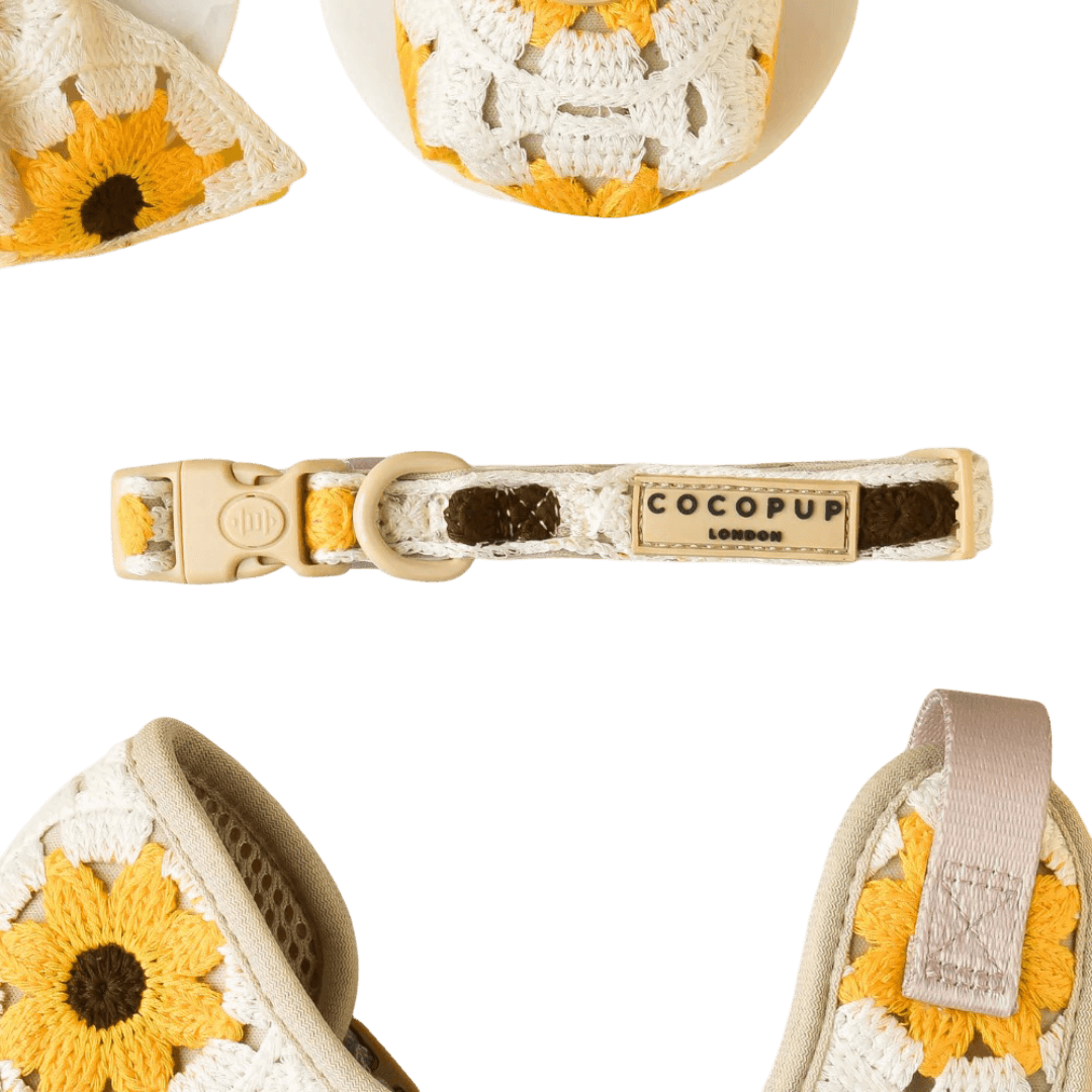 cocopup-london-dog-collar-sunflower-patch