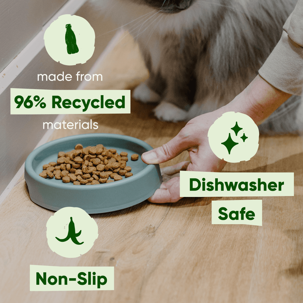 Beco Steady Cat Bowl Olive Green