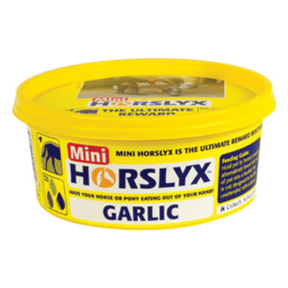 horslyx-garlic-mini-vitamin-and-mineral-lick