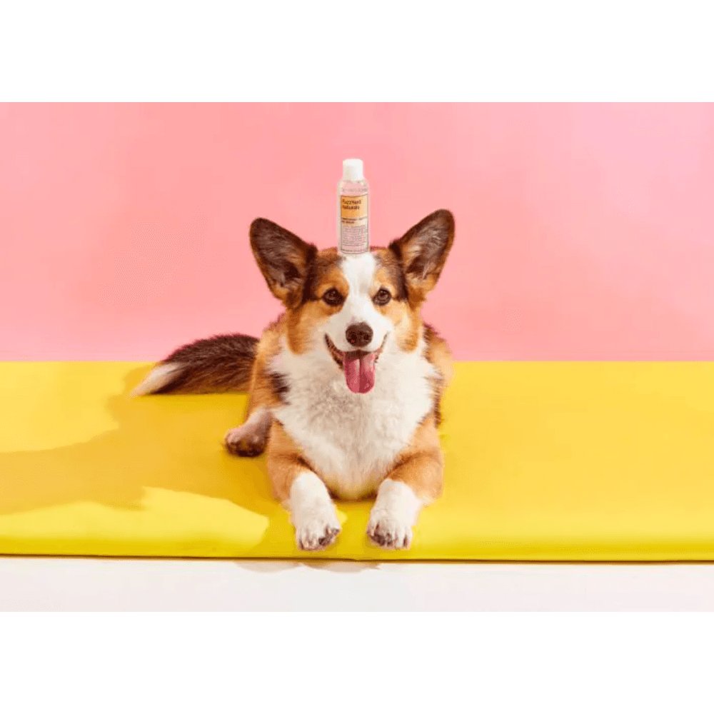 fuzzyard-waterless-shampoo4