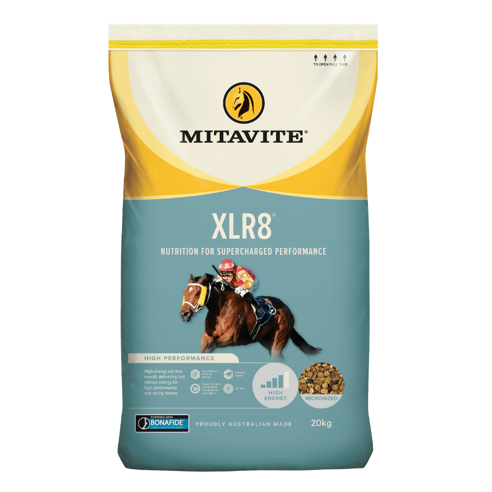mitavite-xlr8-horse-food