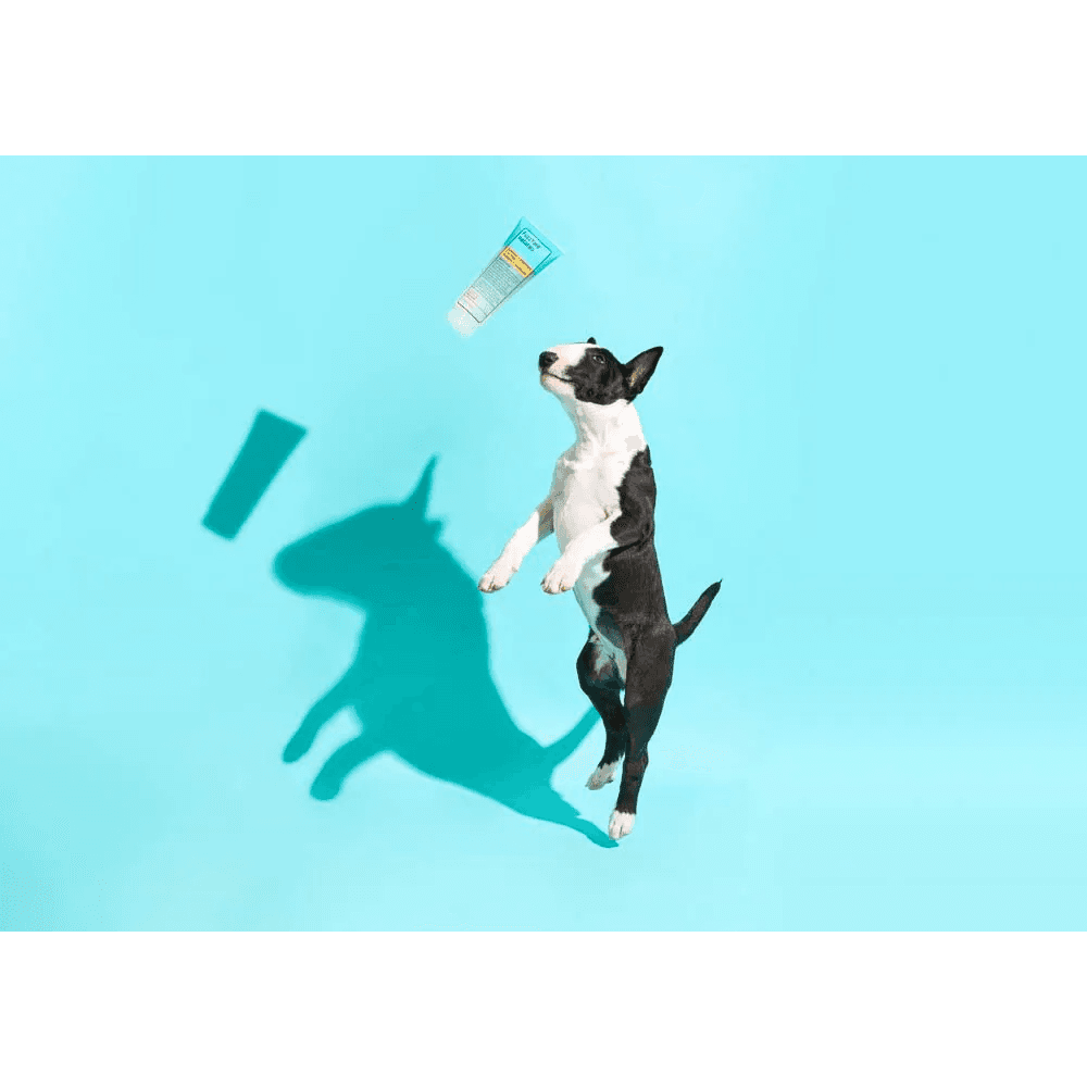 fuzzyard-2-in-1-shampoo-conditioner4