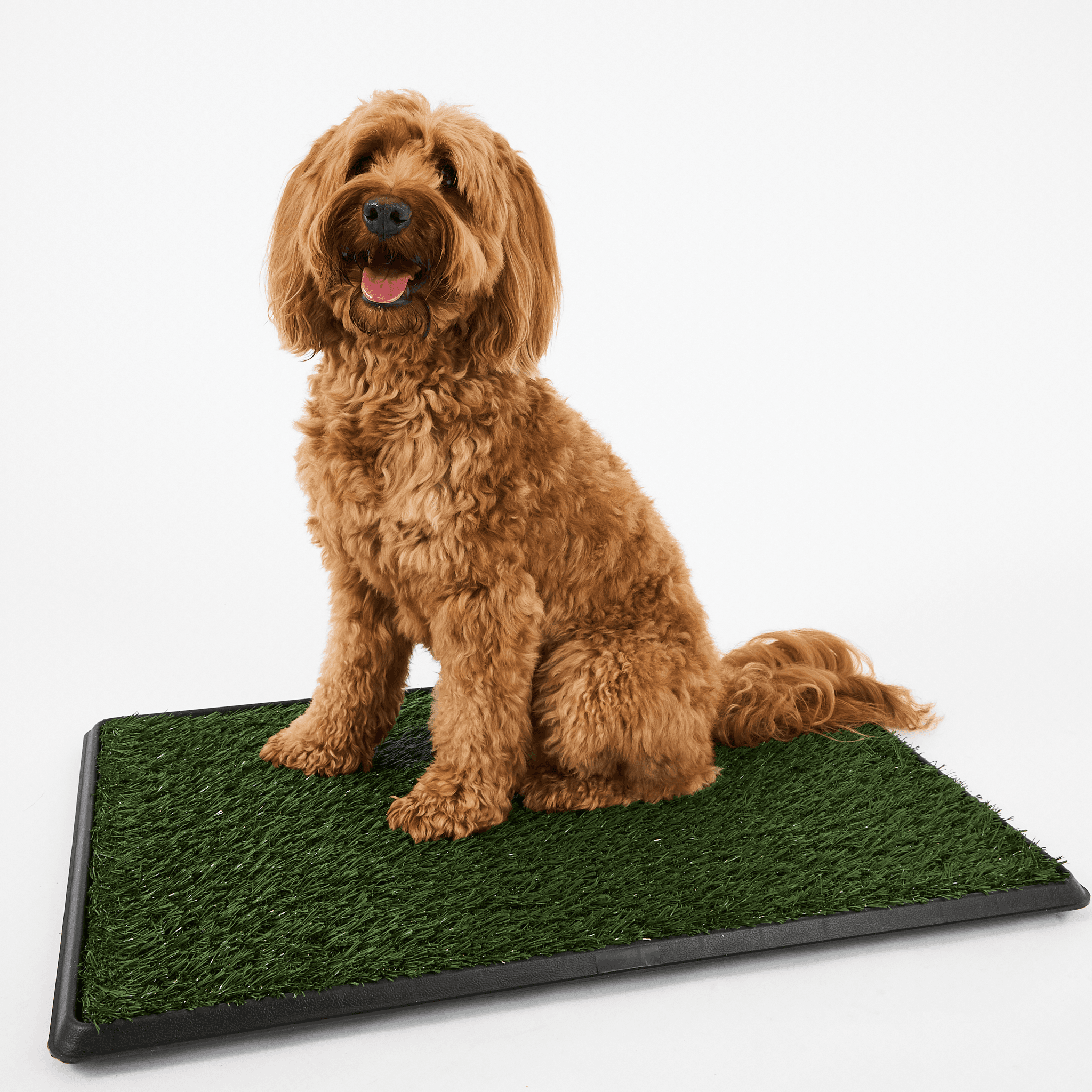 paws-for-life-3-layer-synthetic-grass-potty-system