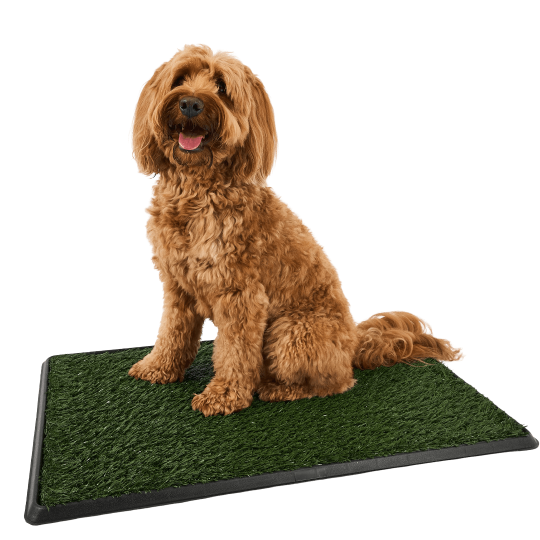 paws-for-life-3-layer-synthetic-grass-potty-system