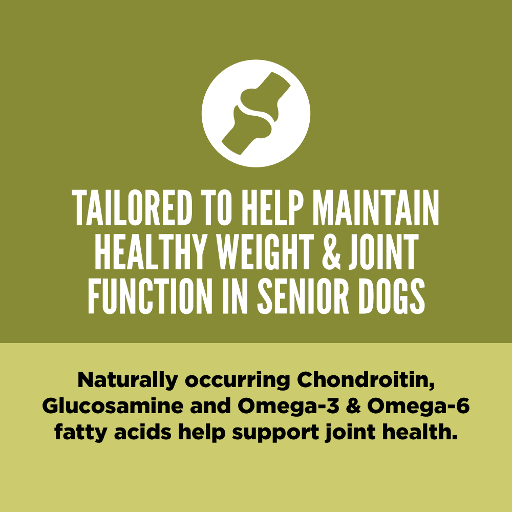 Orijen Chicken Turkey & Fish Senior Dry Dog Food