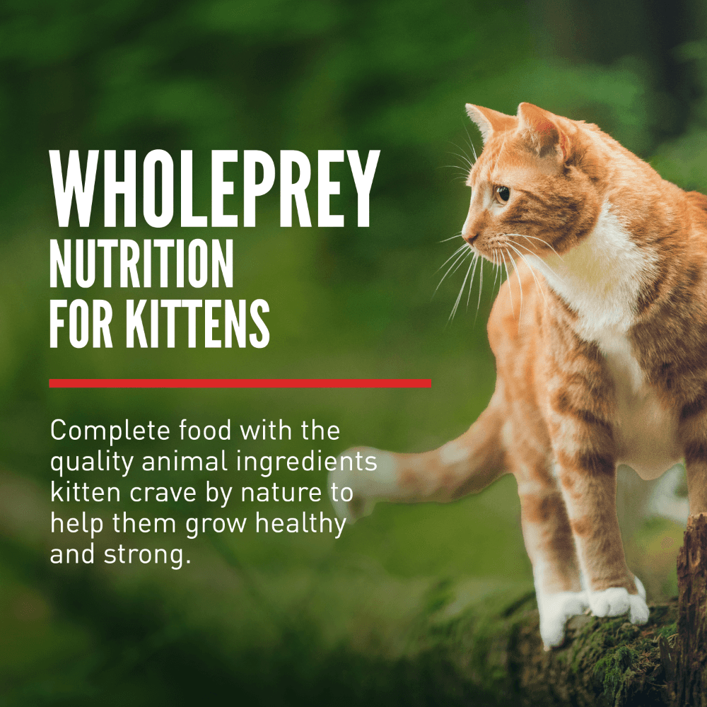 Orijen Kitten Dry Cat Food