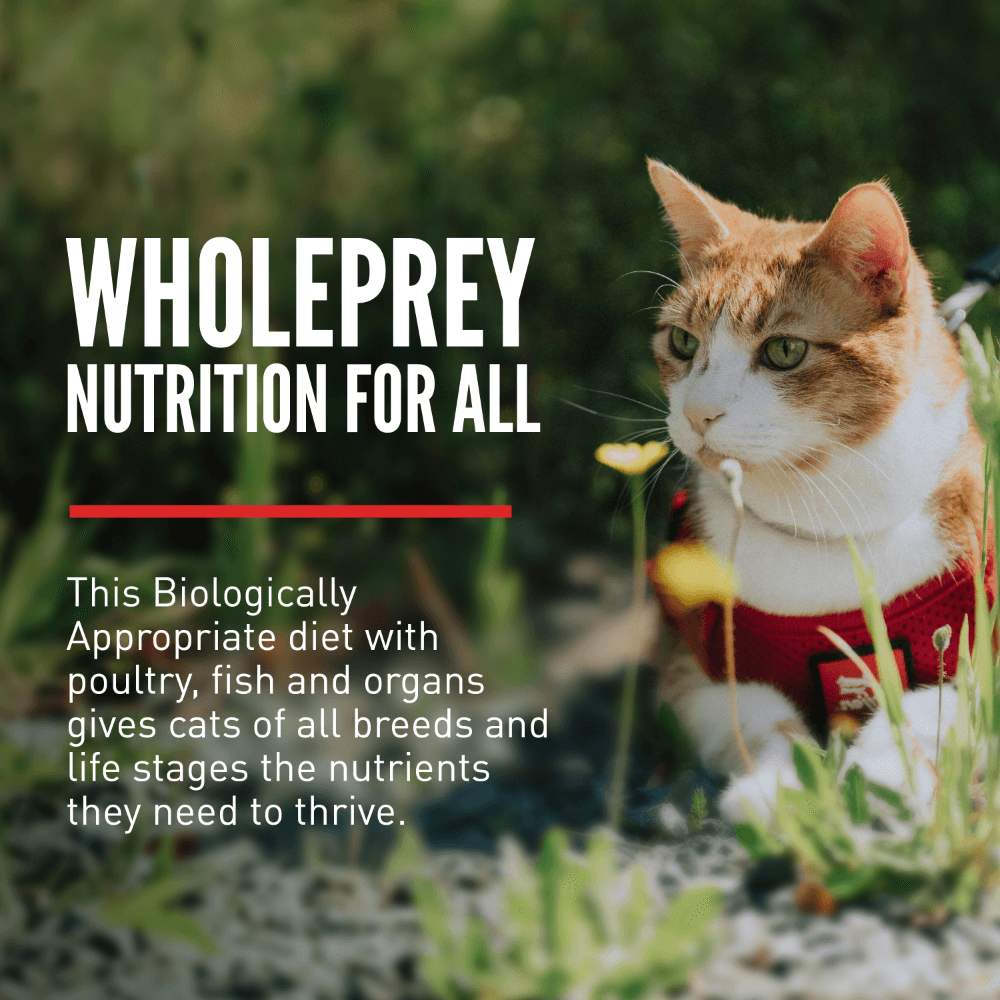 Orijen Original All Lifestages Dry Cat Food