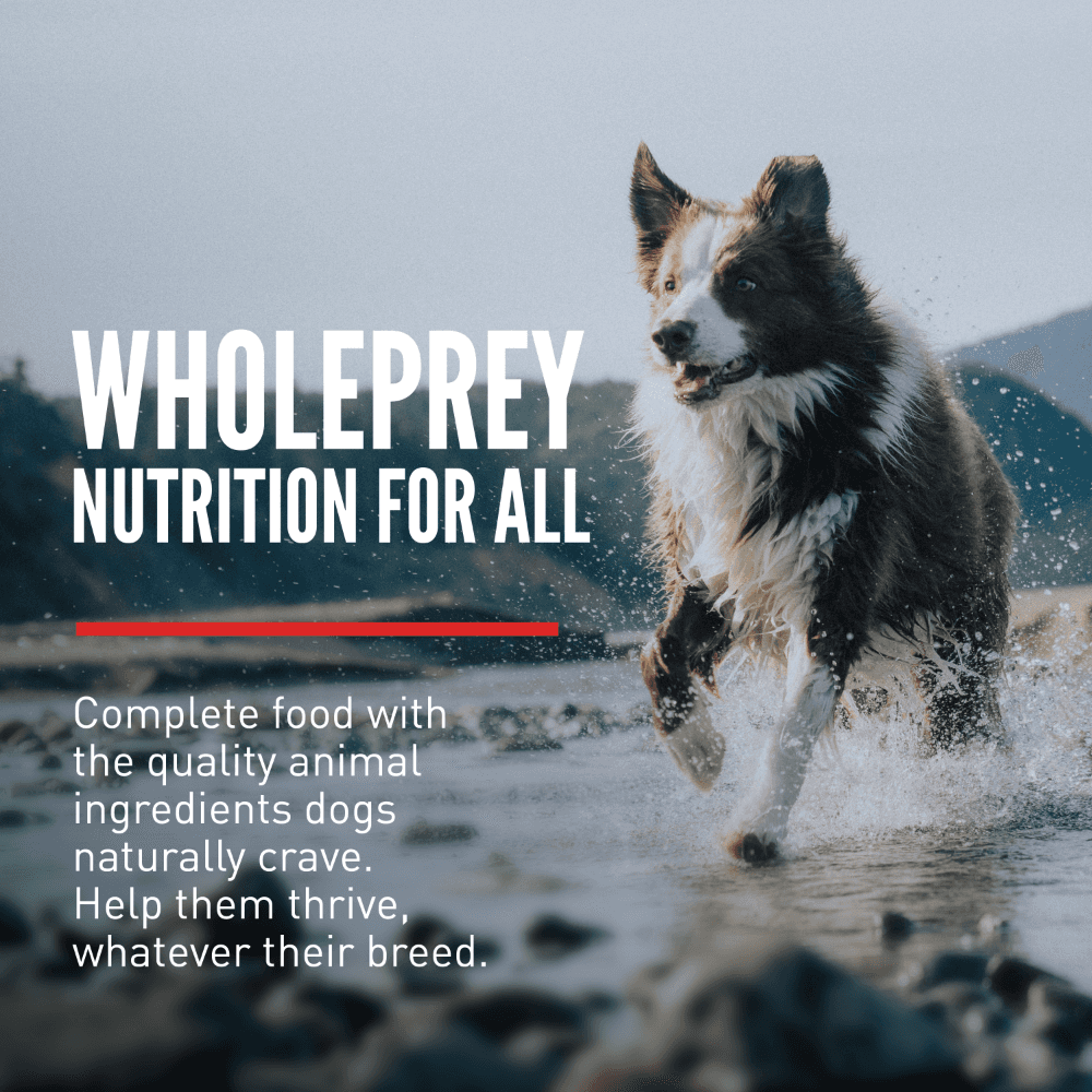 Orijen Original Poultry & Fish All Lifestage Dry Dog Food