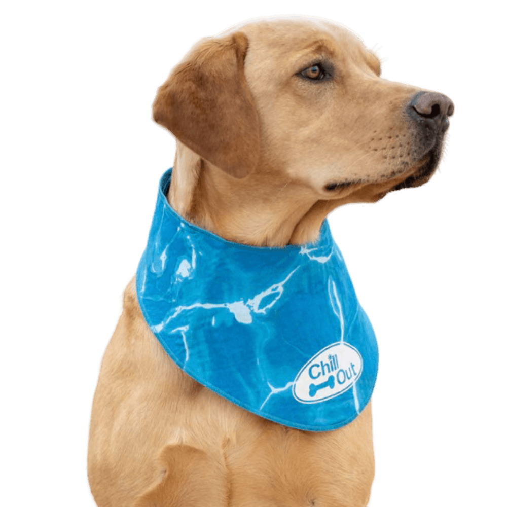 afp-chill-out-bandana