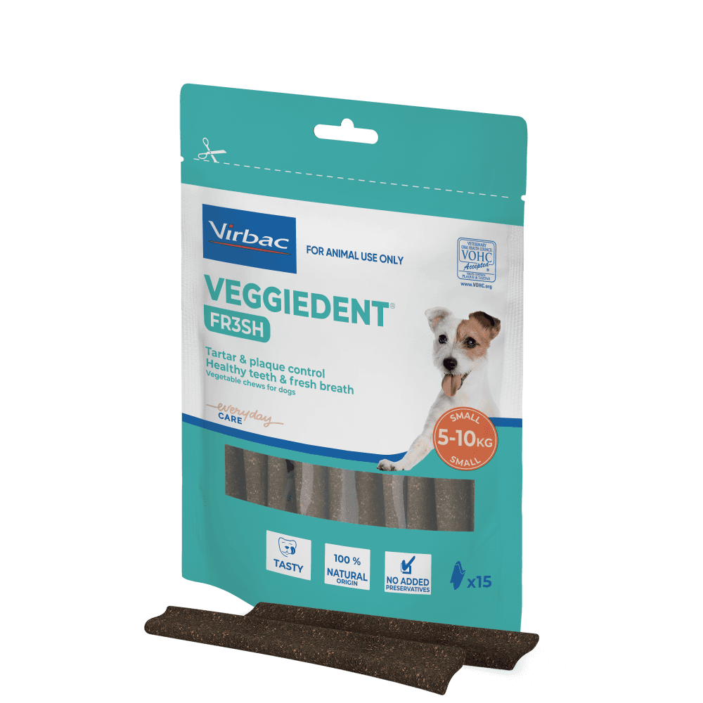 Small Dog Dental Treats