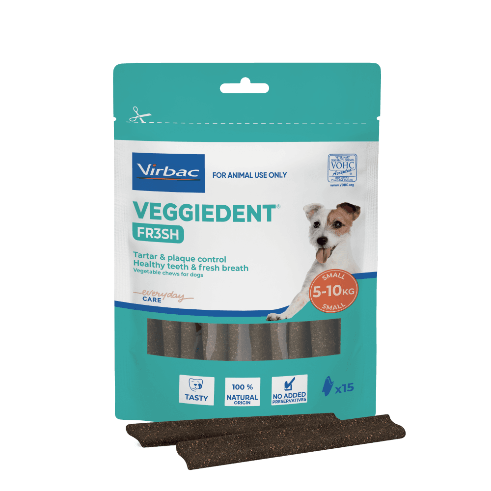 Small Dog Dental Treats