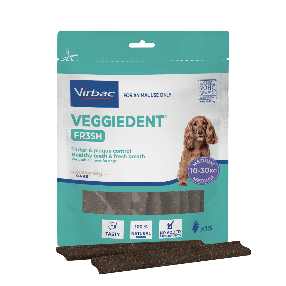 Medium Dog Dental Treats